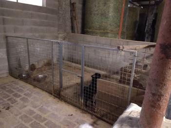 foto allevamento a Calvenzano