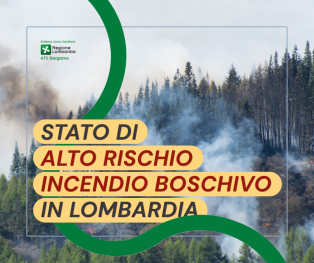 un bosco di conifere che va a fuoco come sfondo ad un messaggio sottolineato in giallo: STATO DI ALTO RISCHIO DI INCENDIO BOSCHIVO IN LOMBARDIA